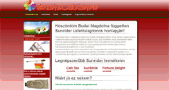 Desktop Screenshot of budaicsoda.hu