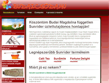 Tablet Screenshot of budaicsoda.hu